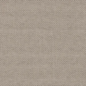 Rumba Wheat